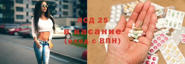 мяу мяу мука Баксан