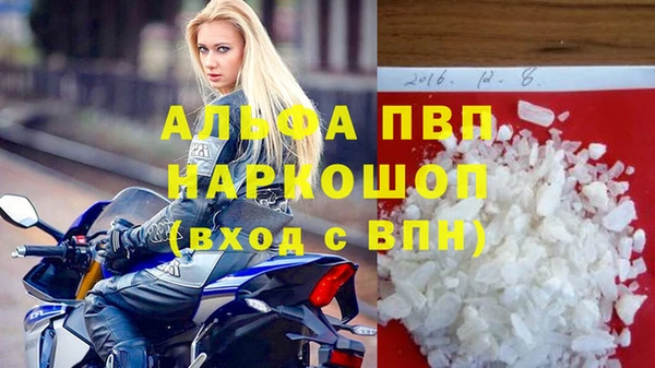 мяу мяу мука Баксан