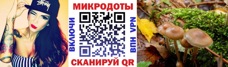 Псилоцибиновые грибы мицелий  Ливны 